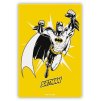 magnet batman