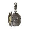 Lumos Charm 24 Slytherin Locket Open