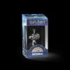 Lumos Charm 25 Buckbeak Packaging e1739890957940