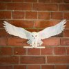 NN8965 Hedwig Owl Post Wall Decor Environment 1 scaled