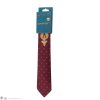 Necktie FantasticBeasts SecretsofDumbledore Packaging 1 4895205609457