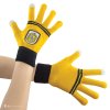 Gloves Screentouch Hufflepuff HarryPotter Product 3 3760166567362