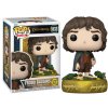 magule funko pop pan prstenu frodo (1)
