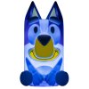Světlo se zvukem, Bluey3