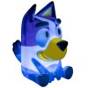 Světlo se zvukem, Bluey2