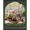 harry potter hodiny bylinkarstvi