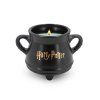 duftkerze harry potter witchs cauldron 230g~2