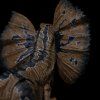 Dilophosaurus MiniCo Close 4