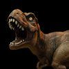 T Rex MiniCo Close 4