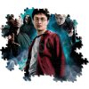 8297 Puzzle Clementoni Fénixův řád, Harry Potter (2)
