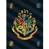 Deka fleecová černá, Harry Potter