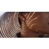 mairo testproduct etoile3