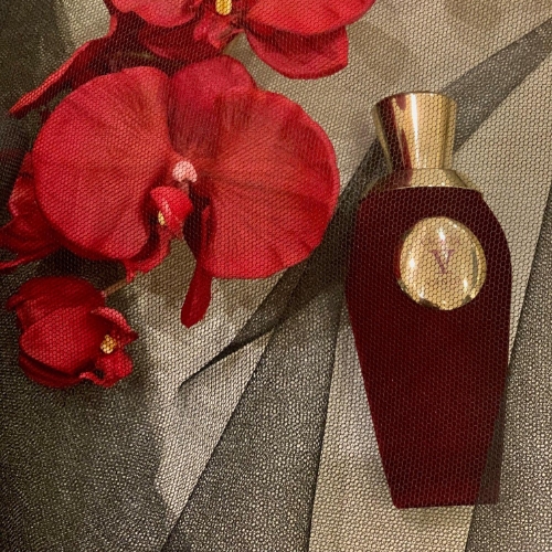 Listopad - děje pod povrchem