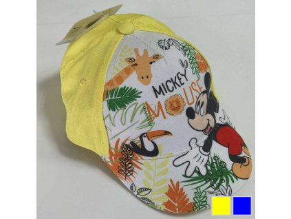 IMAGE_WITH_VARIANT_ICONS