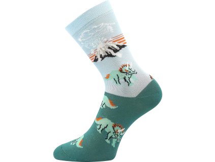 057 21 43 XVII mix A dinosaur