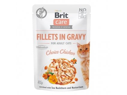 Brit care cat Fillets Gravy Choice Chicken 85 g