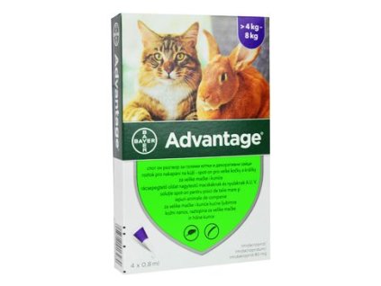 21356 advantage pro velke kocky a kraliky 80mg 4x0 8ml