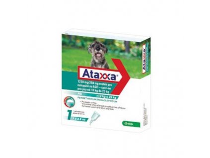 Ataxxa Spot on Dog L