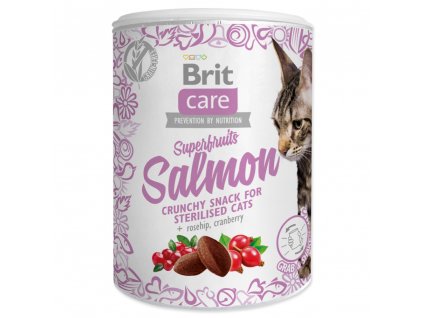 4046 1 brit care cat snack superfruits salmon 100 g
