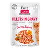 20675 brit care cat fillets in gravy savory salmon 85g