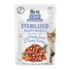 20702 brit care cat fillets in jelly steril duck turkey 85g