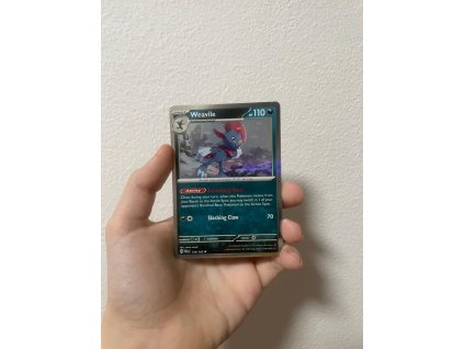 WhatsApp Imagee 2026 02 05 at 19.16.10