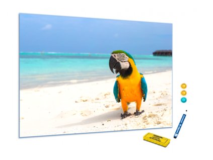 Kovová magnetická tabule - papoušek Ara