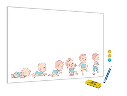 Kovová magnetická tabule - růst chlapce