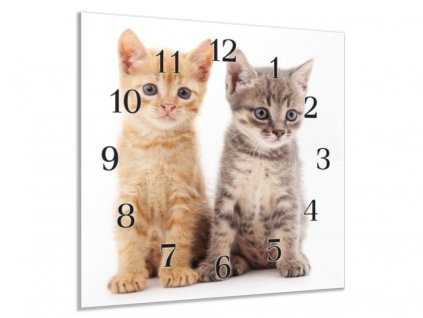 Nástěnné hodiny 30x30cm dvě koťata