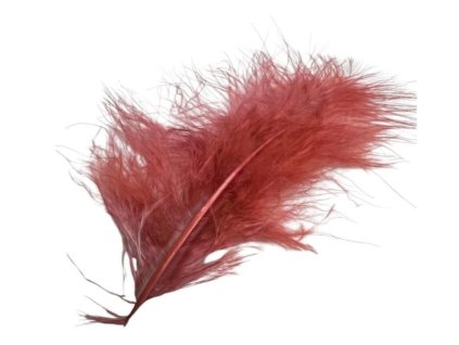 Peří vínové 10ks