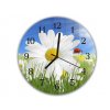 Nástěnné hodiny kulaté pr.30cm květ kopretiny s beruškou