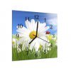 Nástěnné hodiny 30x30cm bílý květ kopretiny a beruškou
