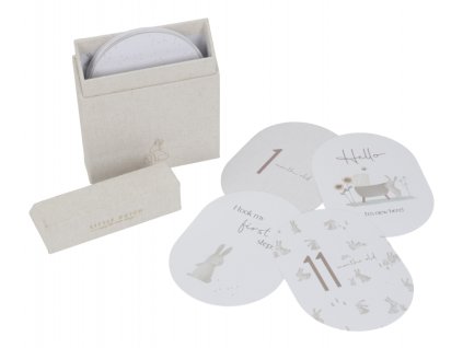 Milníkové kartičky - Baby Bunny