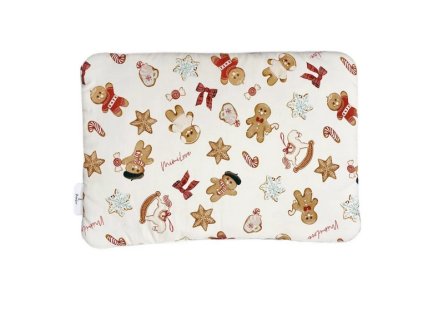 Snímek obrazovky 2025 12 30 162855