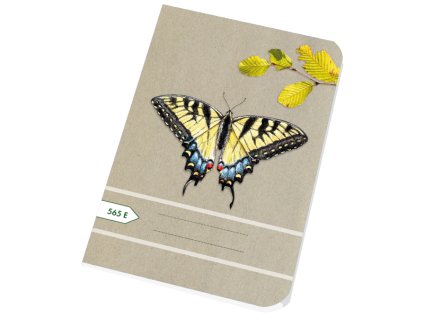 Školní sešit A5 - 565E