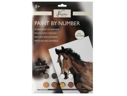 Malování podle čísel - Kůň