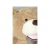 2255 2 plysovy medved maty 160 cm bezovy