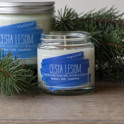 Sójová sviečka CESTA LESOM 90g