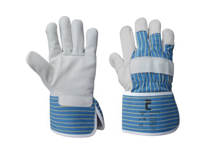 01010166 Gouwe Cerva