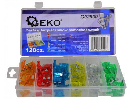 G02809 3