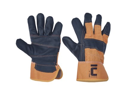 01010010 ORIOLE CERVA 2016 13948 all 2019.tif