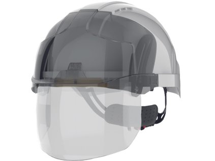 06010155 VISTA SHIELD DOWN SMOKE 1.tif