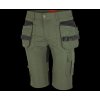 EREBOS Shorts green/black