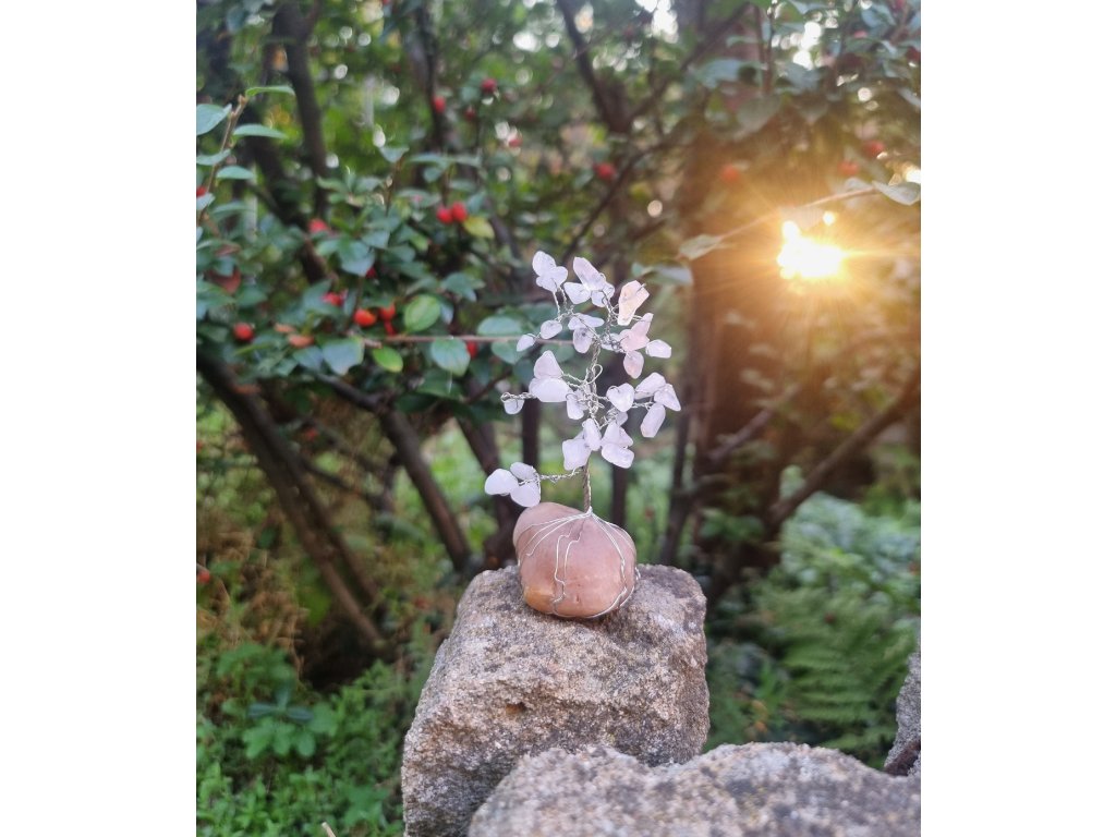 Růženínový drátovaný stromeček