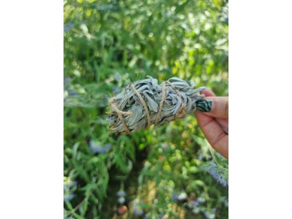 Vykuřovací svazek - šalvěj