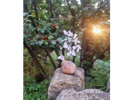 Růženínový drátovaný stromeček