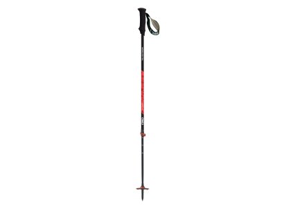 TOUR CARBON 2 LIGHT SWING