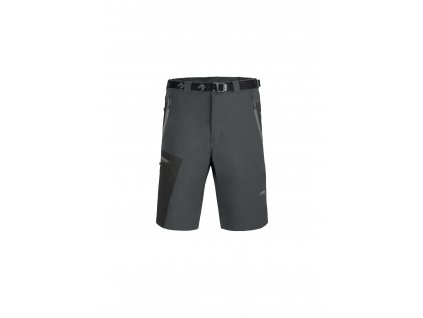 Direct Alpine Vulcan Short
