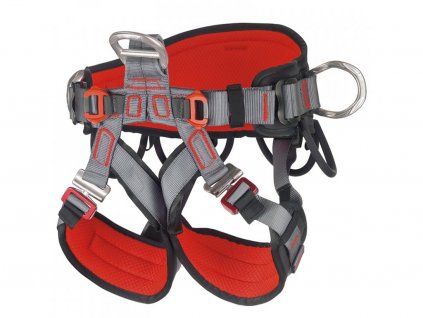 Camp Access Swing
