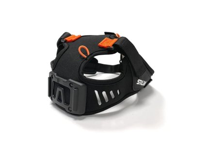 celenka silva ignitespectra cerna 2